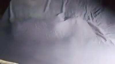 To hide from the owners