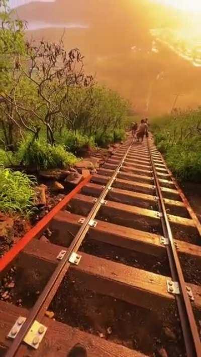 Божественный вид