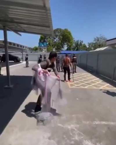 What could wrong while casually casting a net