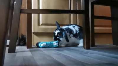 Merry Christmas from Sampras!