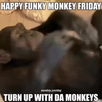 Monke