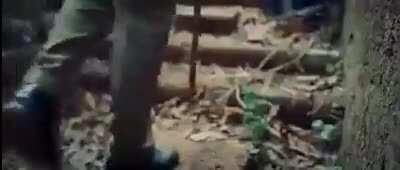 UDF's campaign video