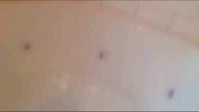 Friend sent me this... sorry if repost btw