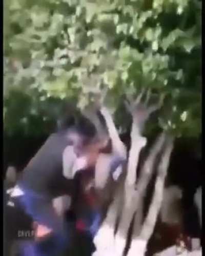 İlginç bir çiftleşme anı