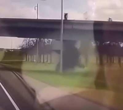 Ripped the frame off and all