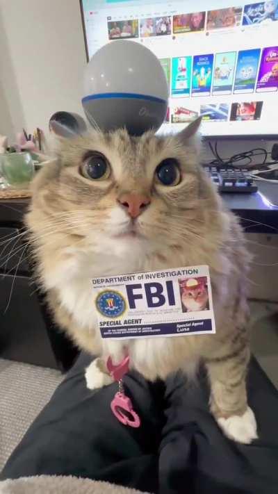 I'm FBI 🚨 Show me your last saved image from the gallery ‼️