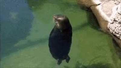 There is no need to be upset