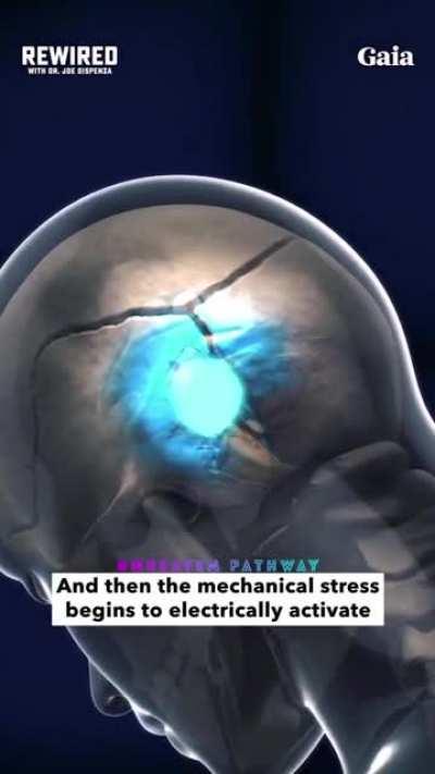 The Function of Prayer & Meditation by Unbeaten Pathway