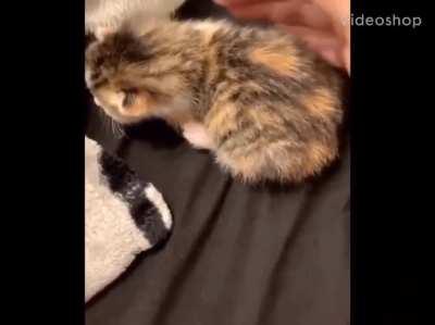 And the Oscar goes to..