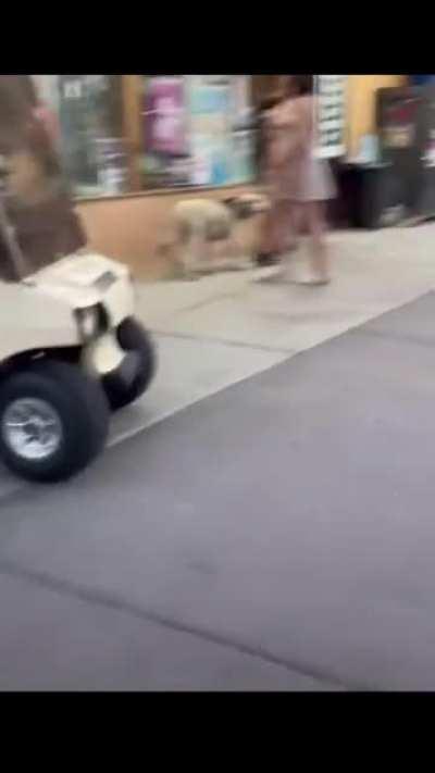 to drive a golf cart