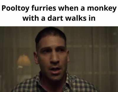 Furry_irl