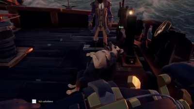 What the dog doin???