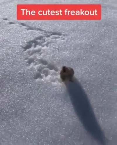 Ублюдок, мать твою, а ну иди сюда...