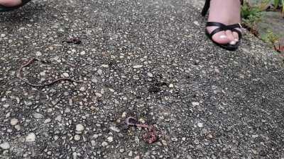 Found some worms in my path today. Crushed them beneath my heels.