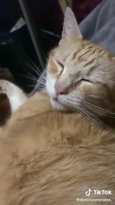 Lo mejor del dia 😼👍