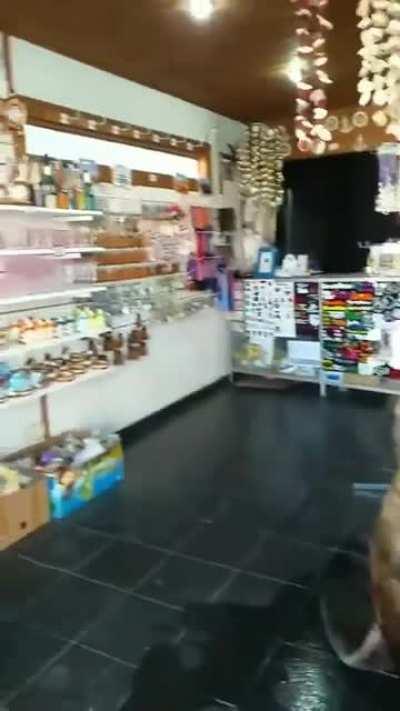 Lobo marino atiende en un local del puerto de Mar del Plata