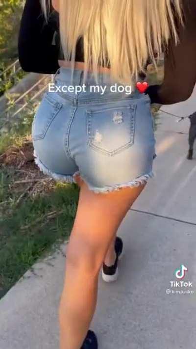 Taking them for a walk