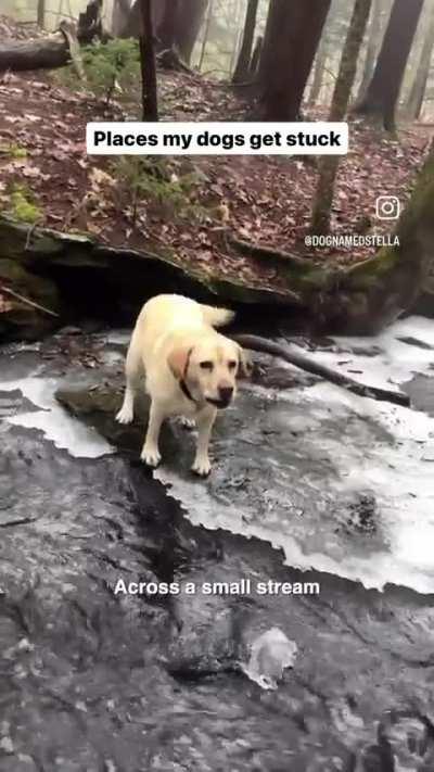 What a beautiful little idiot