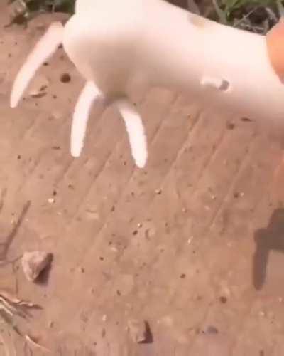 The camera can't catch up