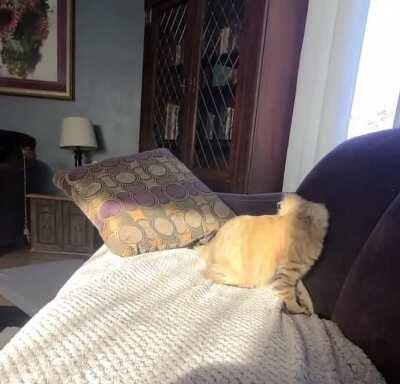 Bundy attacks... himself