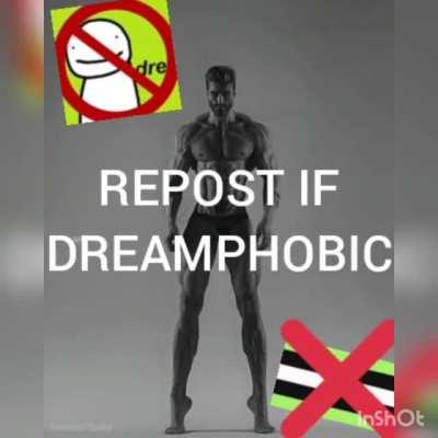 im dreamphobic and im proud