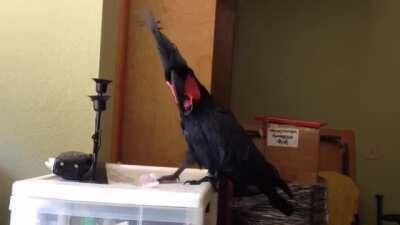 Hey, that’s my jam.