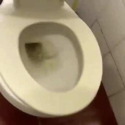 My sewer people need me