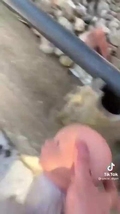 Mental health check-up