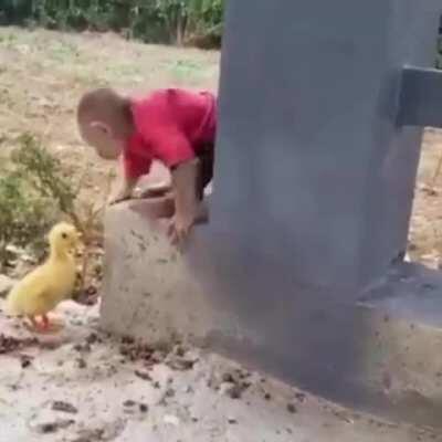 monkey and ducky 🐥🐒