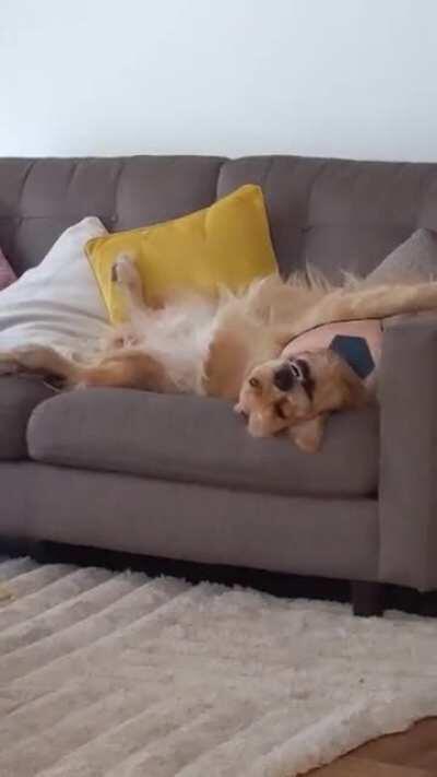 The sleeping beauty.