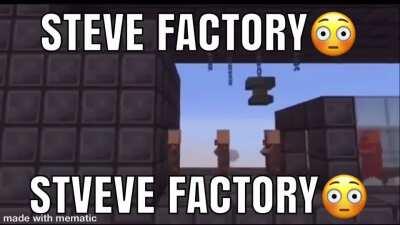 STEVE FACTORY😳