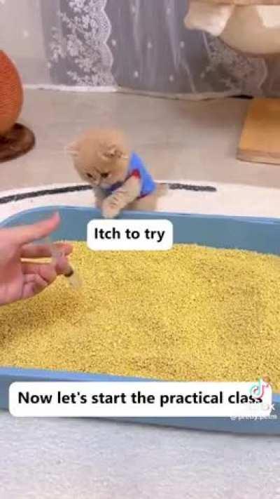 Learning to use the potty