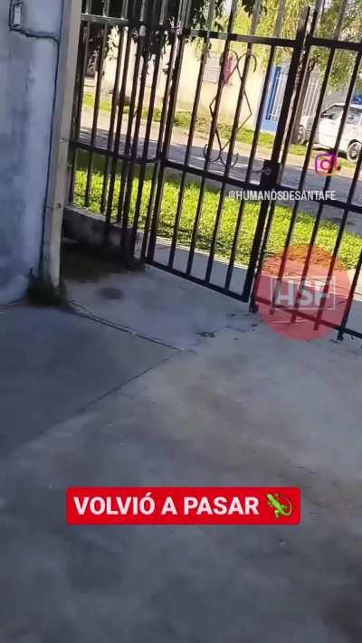 Ahhh! te atacó Martín!