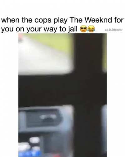 Damn cops out here wildin