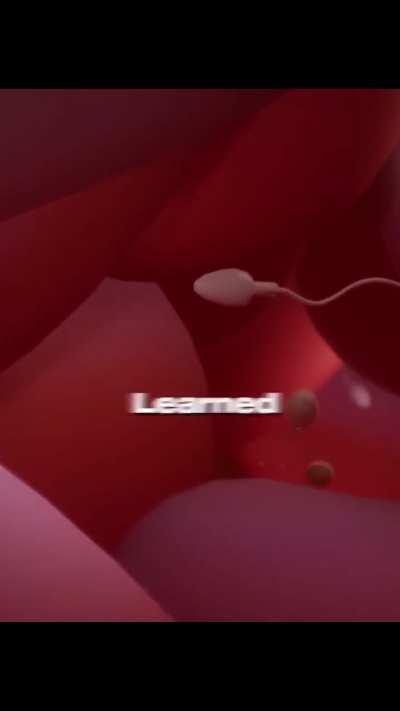 These lines go hard.