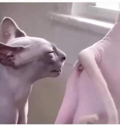 An interesting title