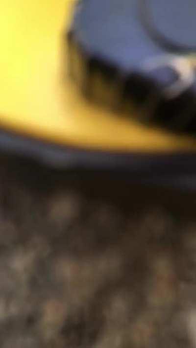 Was asked to post this here, happened on my lunchbreak with a leggy boi