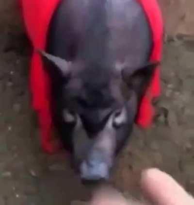 another reminder of what they took from us