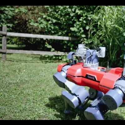 Water and robots typically don't mix... Lucky, that's exactly the case for ANYmal. Observe the autonomous species in its natural habitat—which just might be anywhere!