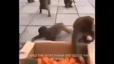 ITS FUNKY MONKY FRIDAY WOOOO 😎😎😎😯😯