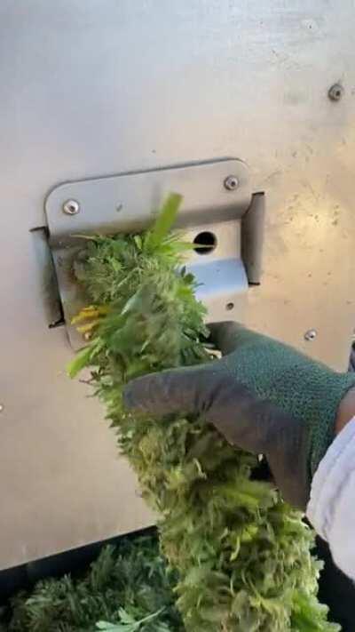 Was told this is good here, it's Munch Machine for Cannabis