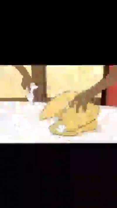 they found the 2 terabytes