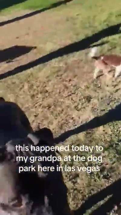 Man threatens to shoot dog at a dog park