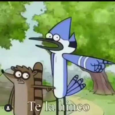 Chupame las tetas 🤬