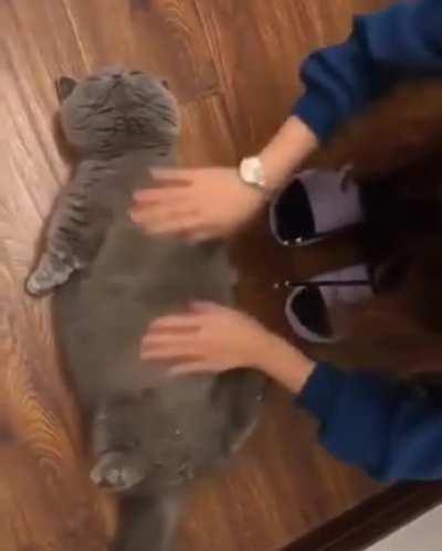 Belly rubs