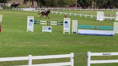 CD gave us two options for the final fence. We did not pick the same one.