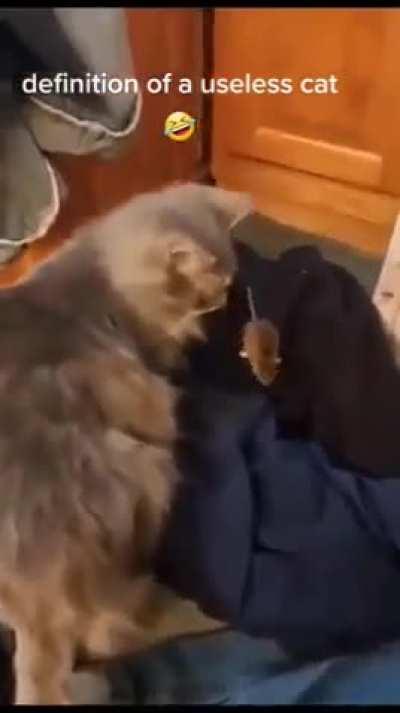 What the world needs now…