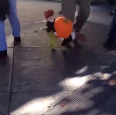 This Dog Wins Halloween