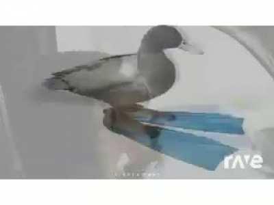 Junte el opening de evangelio y 