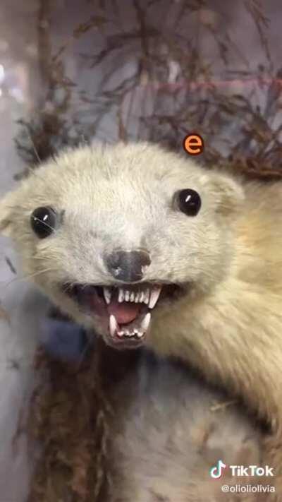 i aggressively cried at this